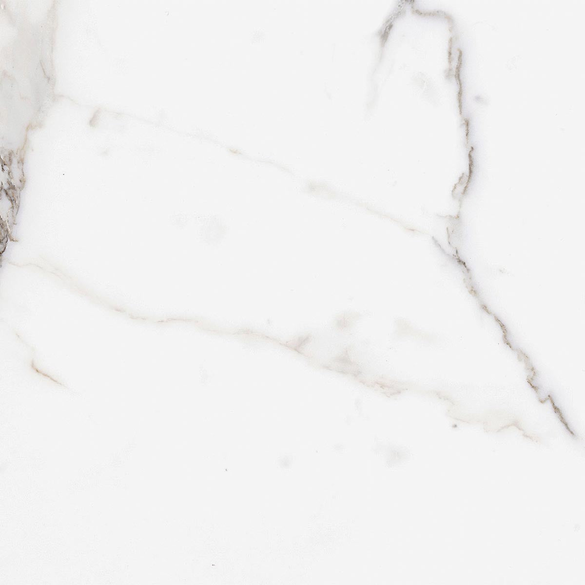 Ecstasy Zeal 24x24 Glossy Porcelain Tile