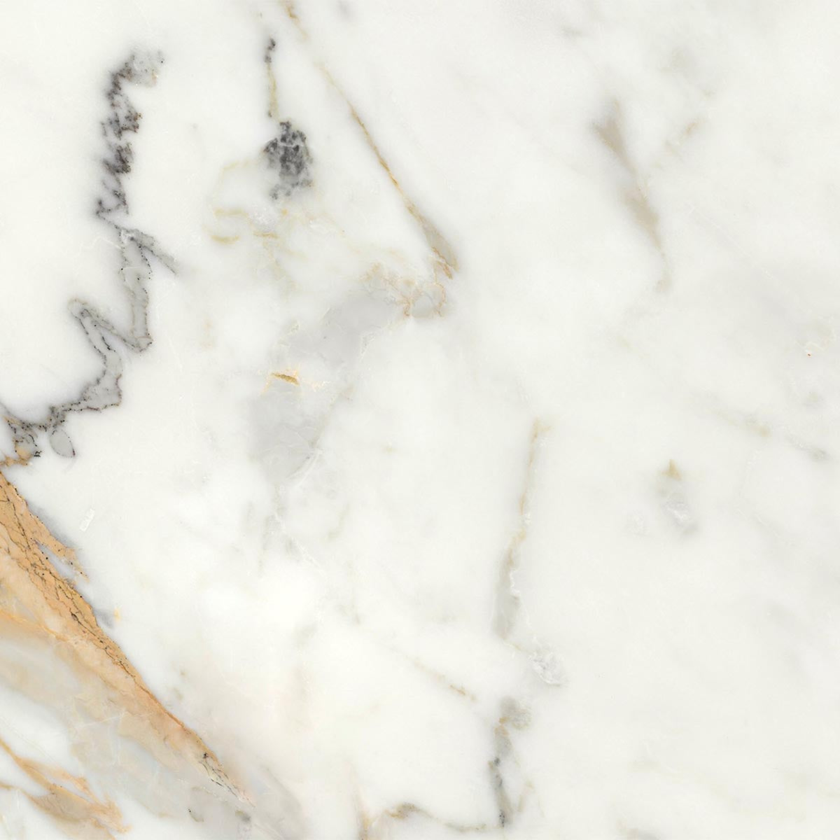 Ecstasy Thrill 24x24 Glossy Porcelain Tile