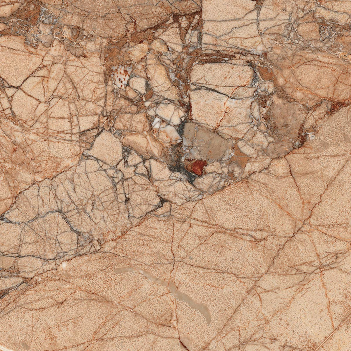 Ecstasy Bliss 24x24 Glossy Porcelain Tile