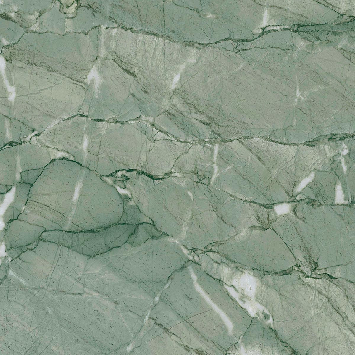 Ecstasy Exaltation 24x24 Glossy Porcelain Tile