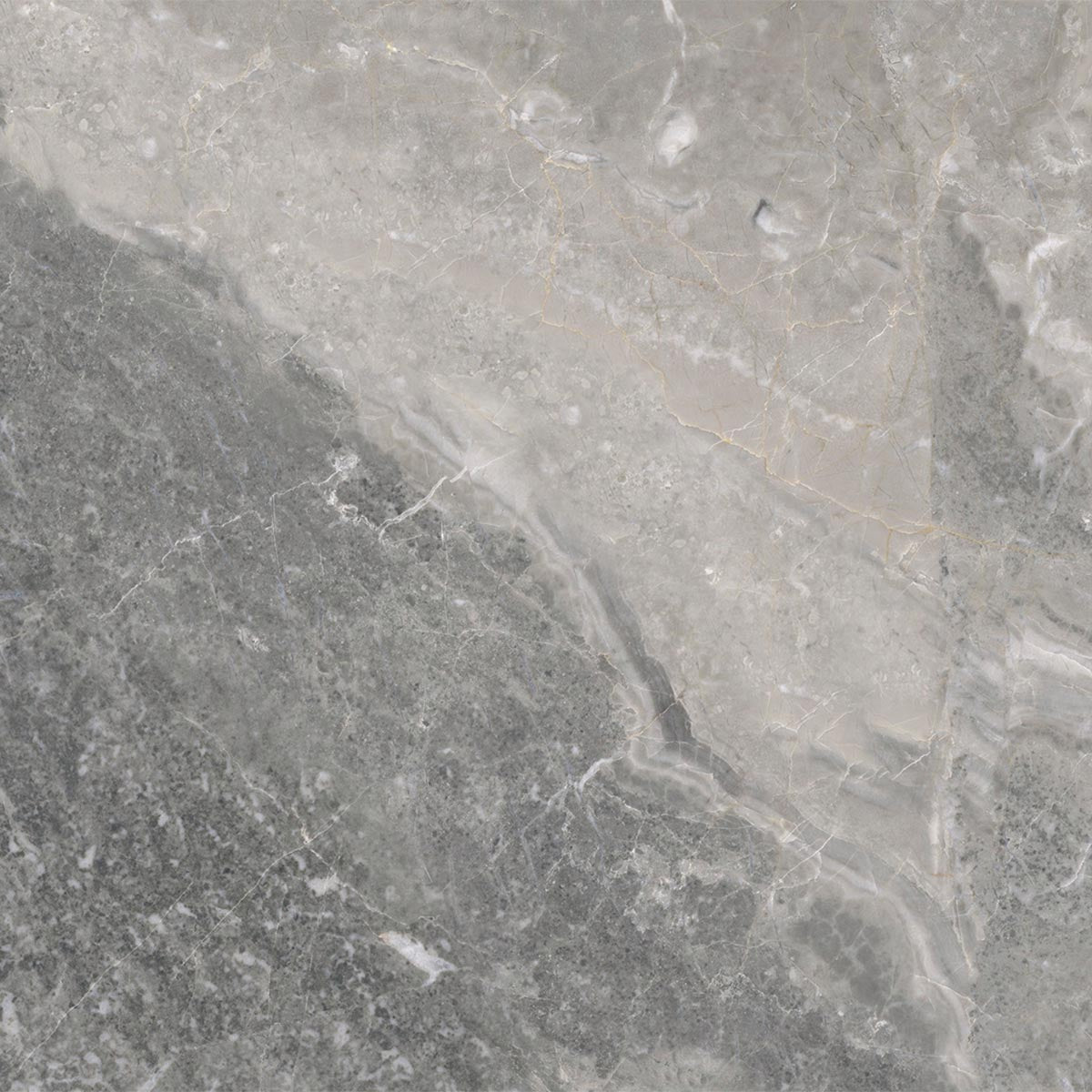 Ecstasy Appetite 24x24 Matte Porcelain Tile