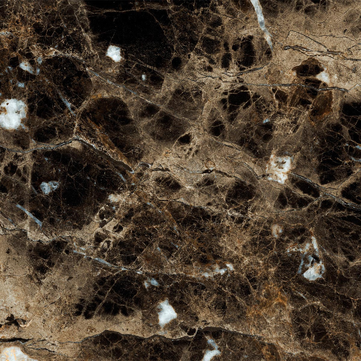 Ecstasy Frenzy 24x24 Glossy Porcelain Tile