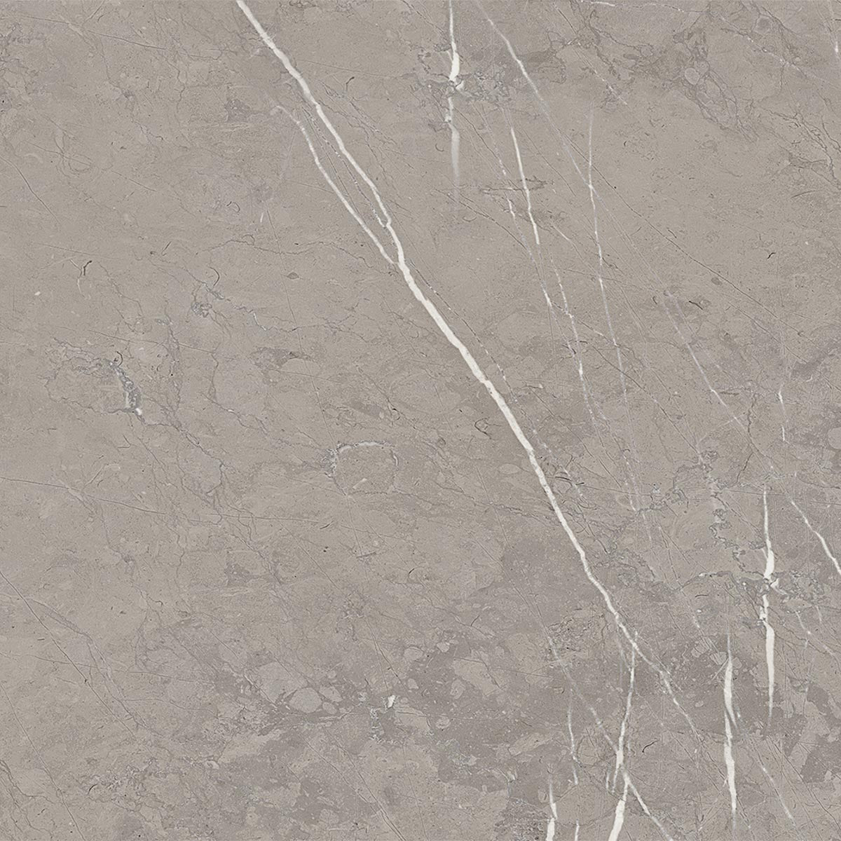 Ecstasy Rapture 48x48 Matte Porcelain Tile