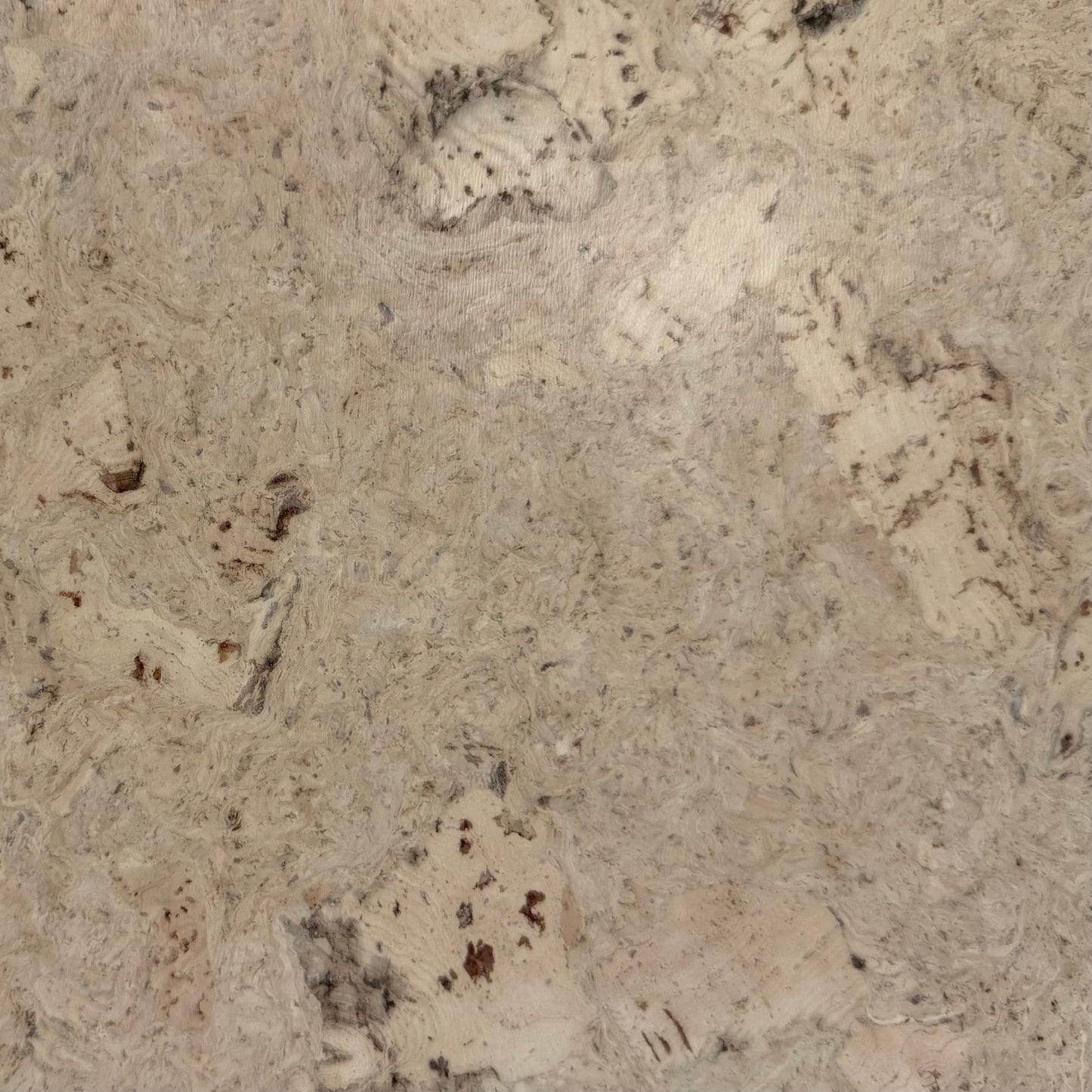 Odysseus Cork 12x36