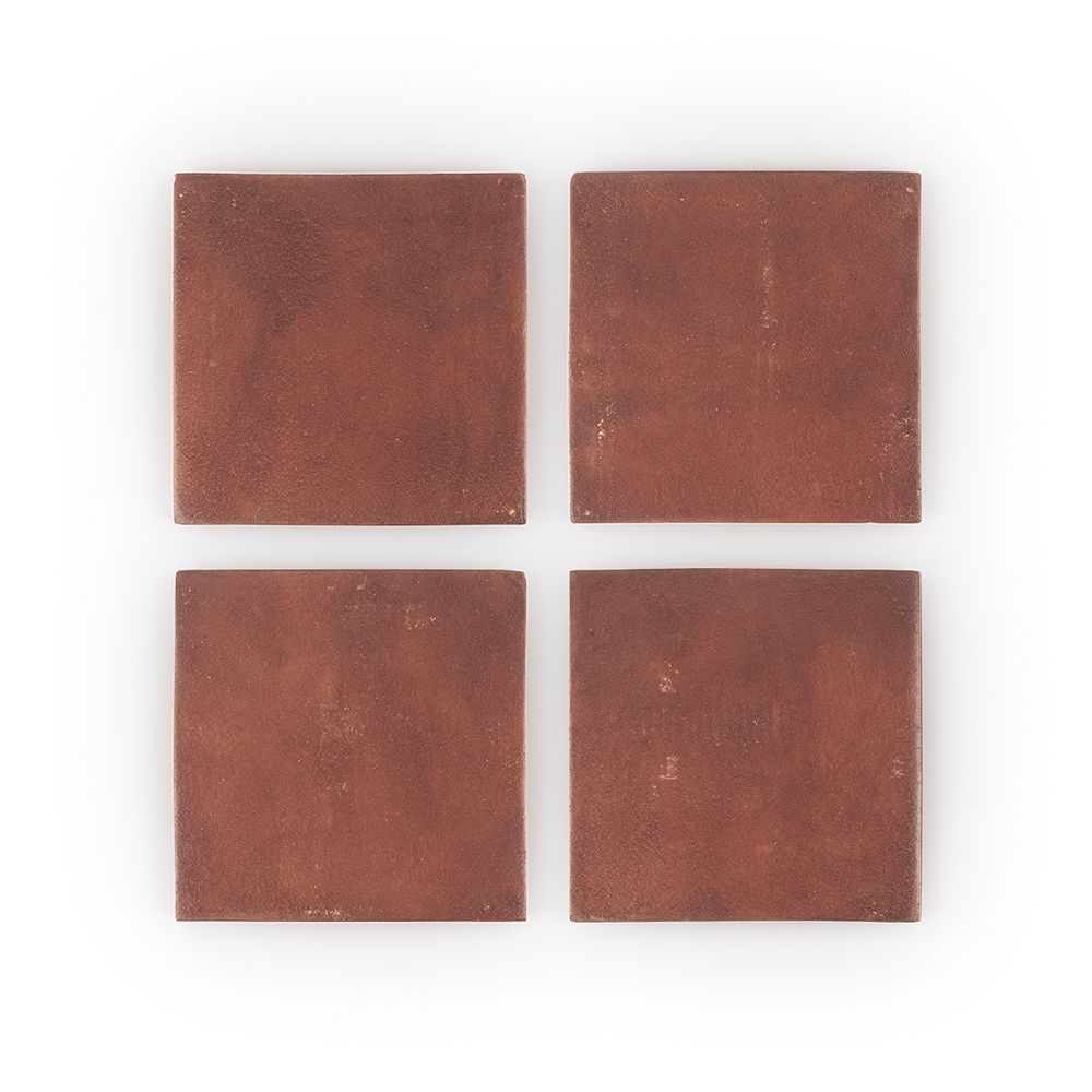 Ignus 10x10