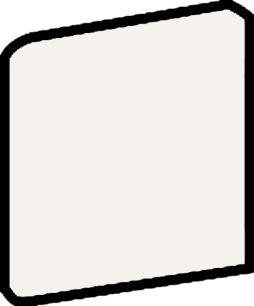 Artic White Trim Glossy