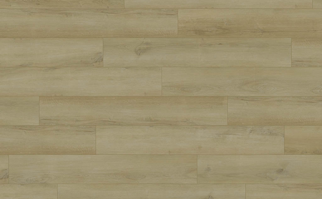Belmont Oak 7x48