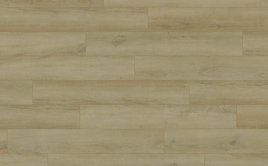 Belmont Oak 7x48