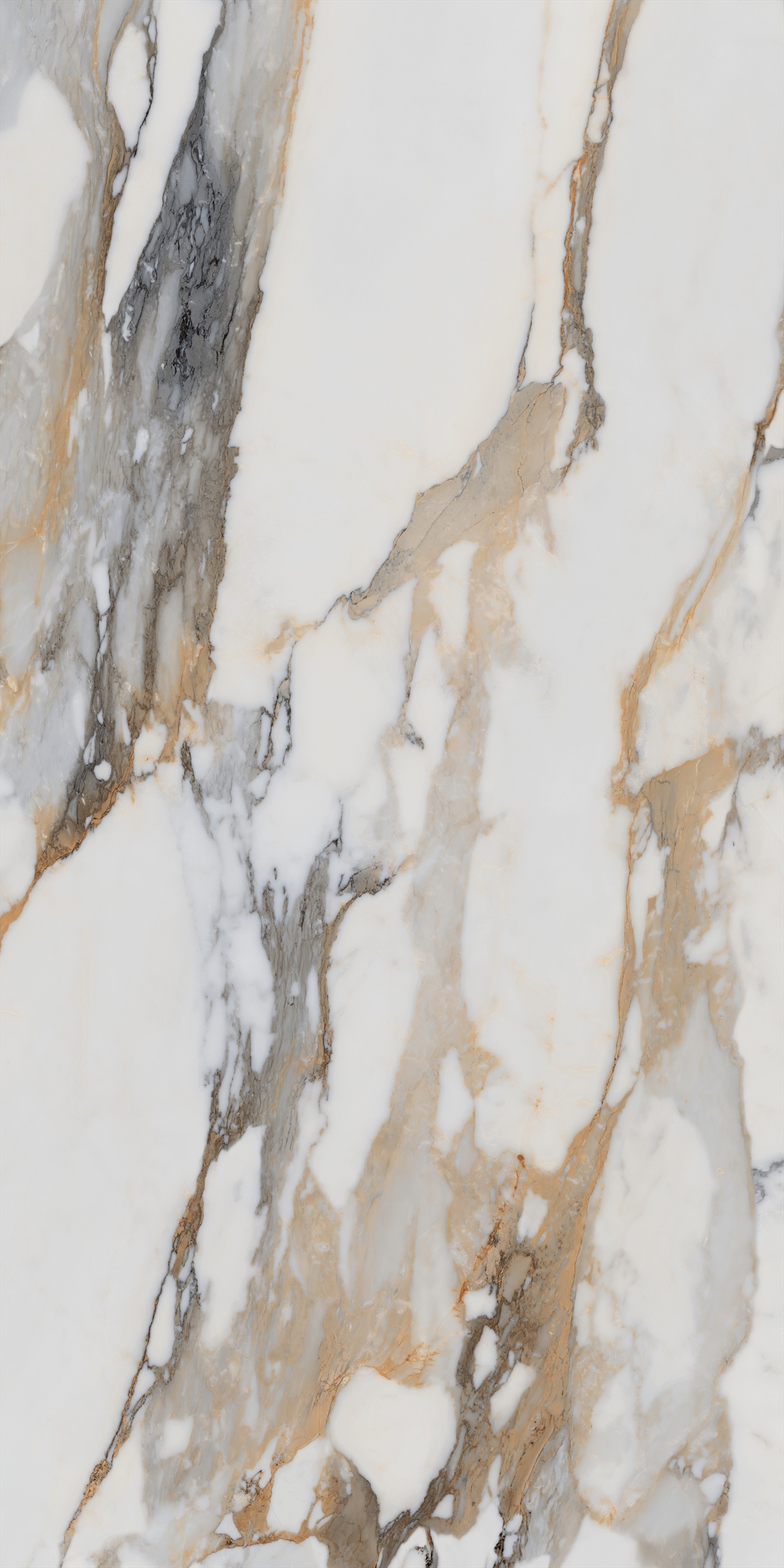Bold 24x48 Satin