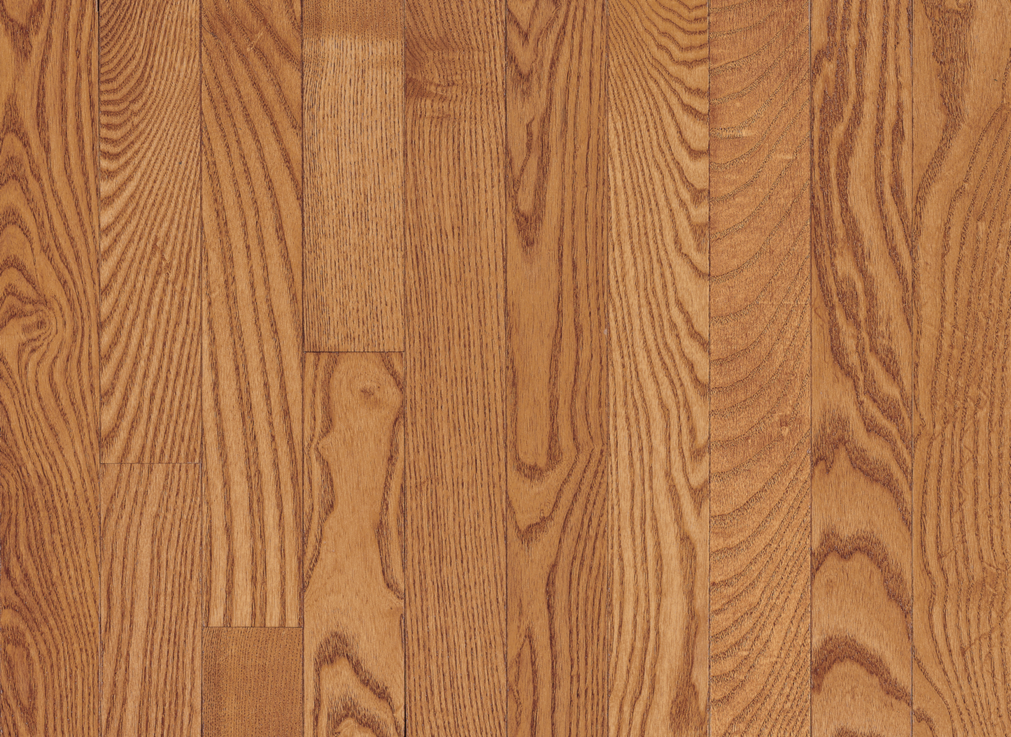 Oak Mix Butterscotch 3¼"