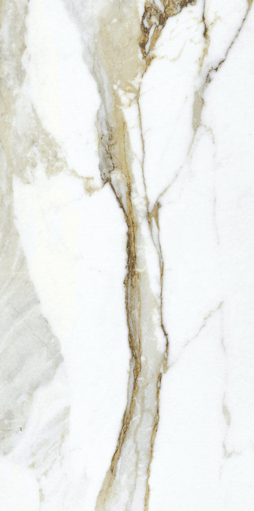 Macchia Antica 24x48 Polished