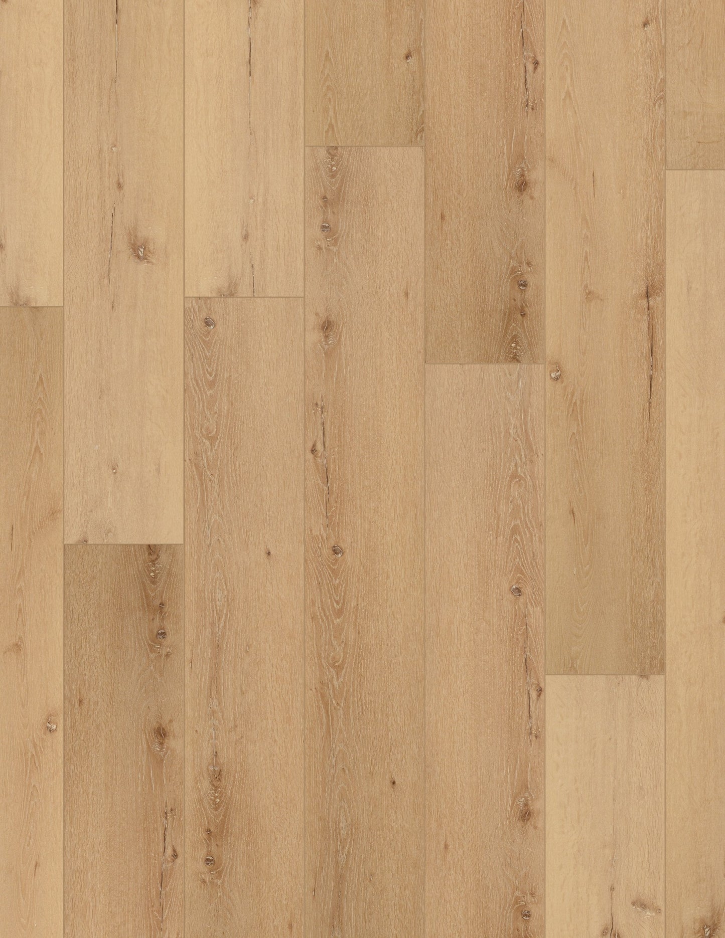 Cairo Oak 9x73