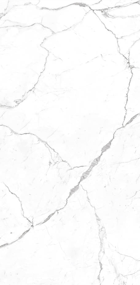 Calacatta 24x48 Textured