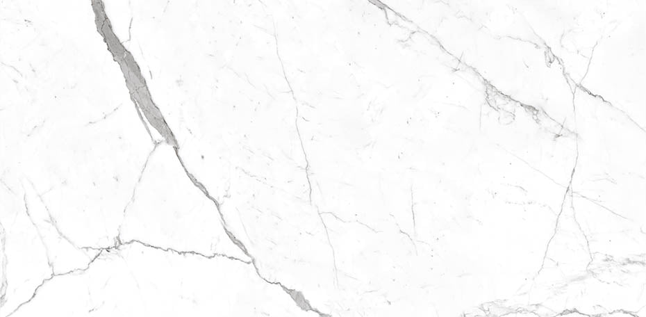 Calacatta Pearl 24x48 STR
