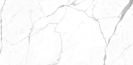 Calacatta Pearl 24x48 STR