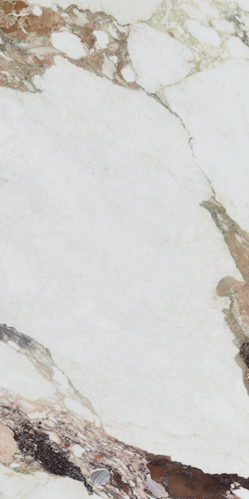 Calacatta Viola 12x24 Natural