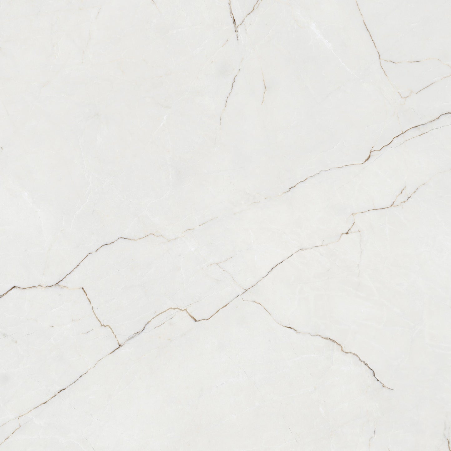 Destino Juliet Glossy 48x48 Porcelain Tile
