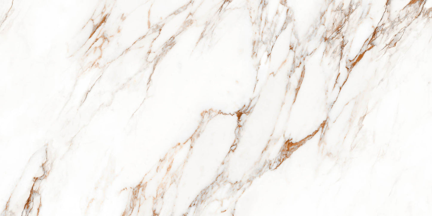 Destino Lucia Matte 24x48 Porcelain Tile