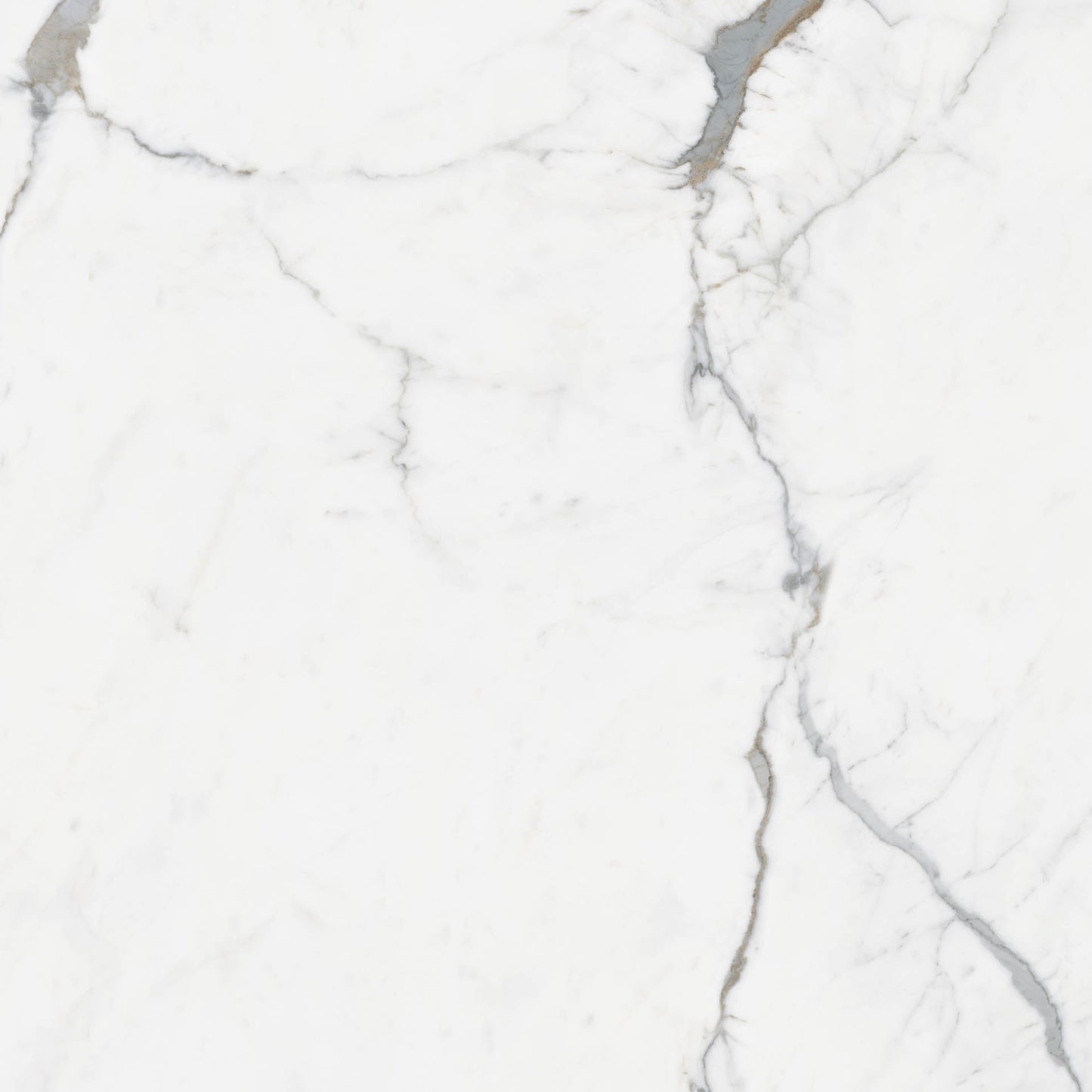 Destino Portia Glossy 48x48 Porcelain Tile