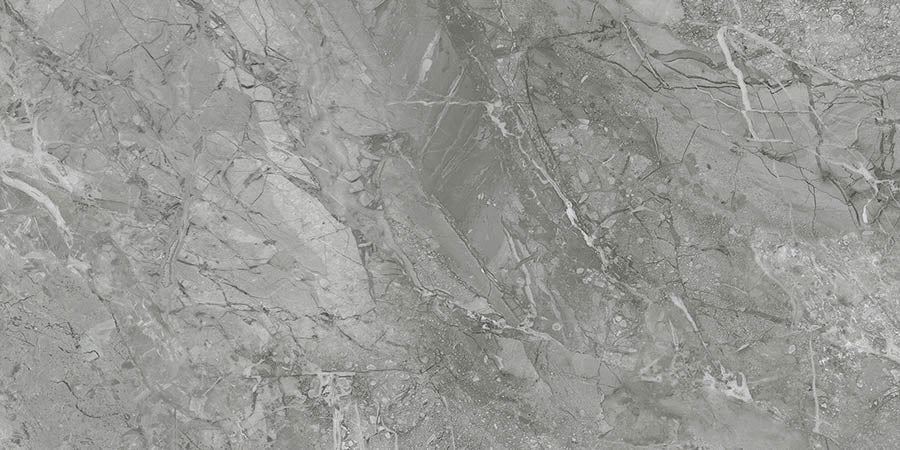 Destino Renzo Matte 12x24 Porcelain Tile