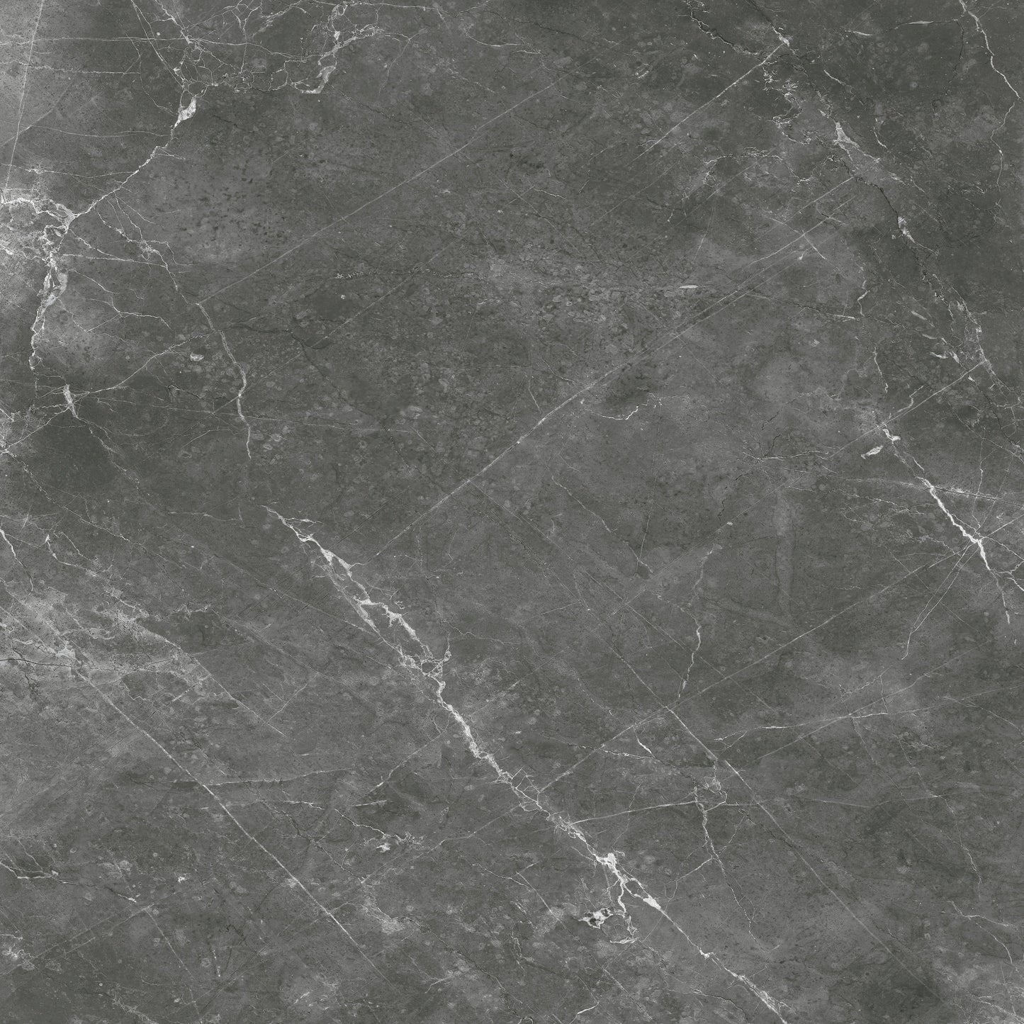 Destino Romeo Glossy 48x48 Porcelain Tile