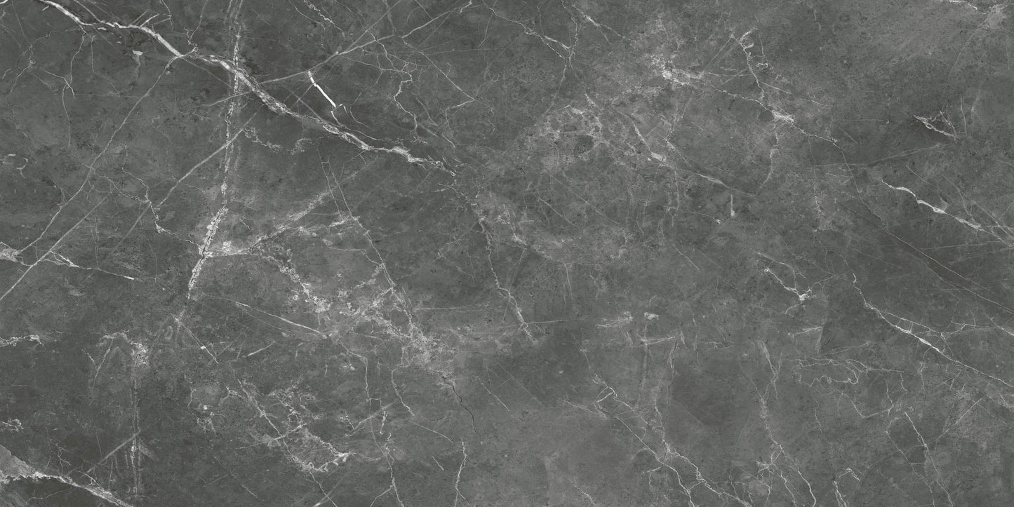 Destino Romeo Matte 24x48 Porcelain Tile