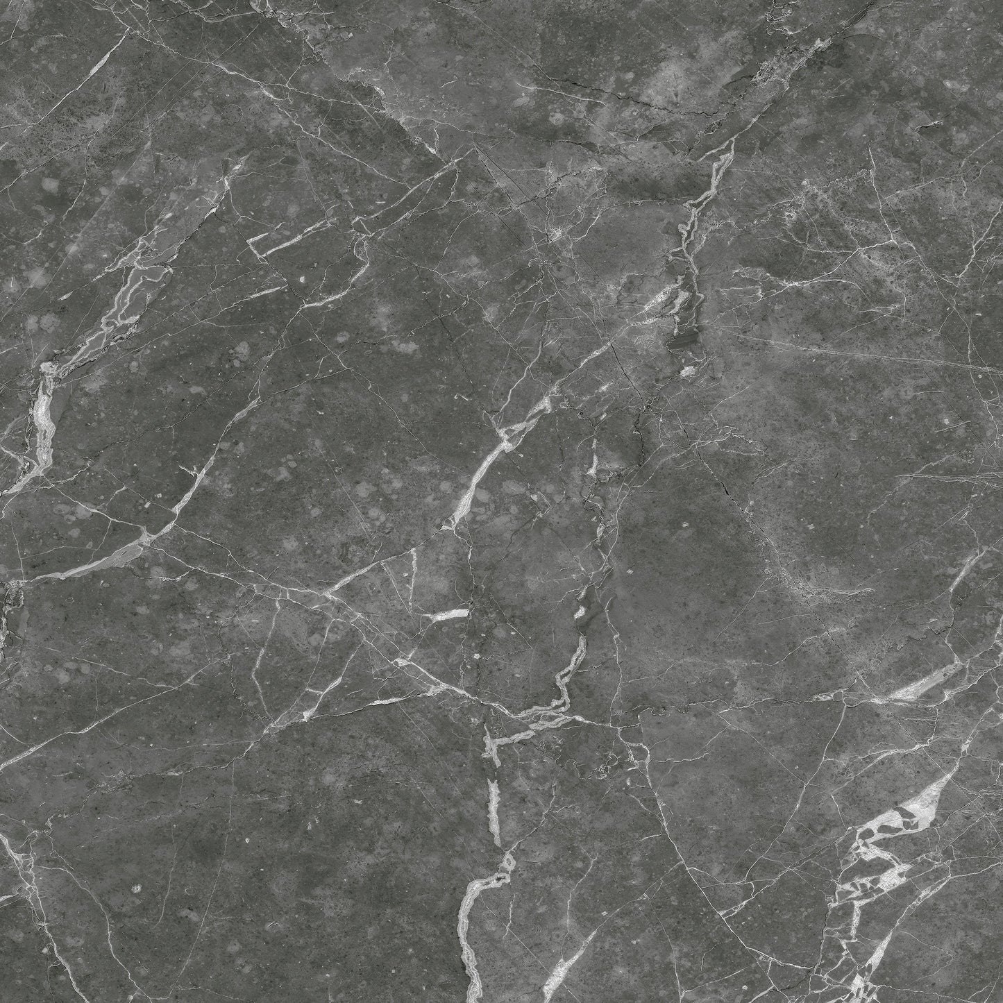 Destino Romeo Glossy 24x24 Porcelain Tile