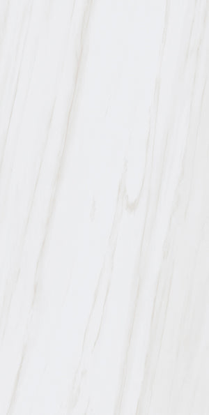 Dolomite Gray 24x48 Matte