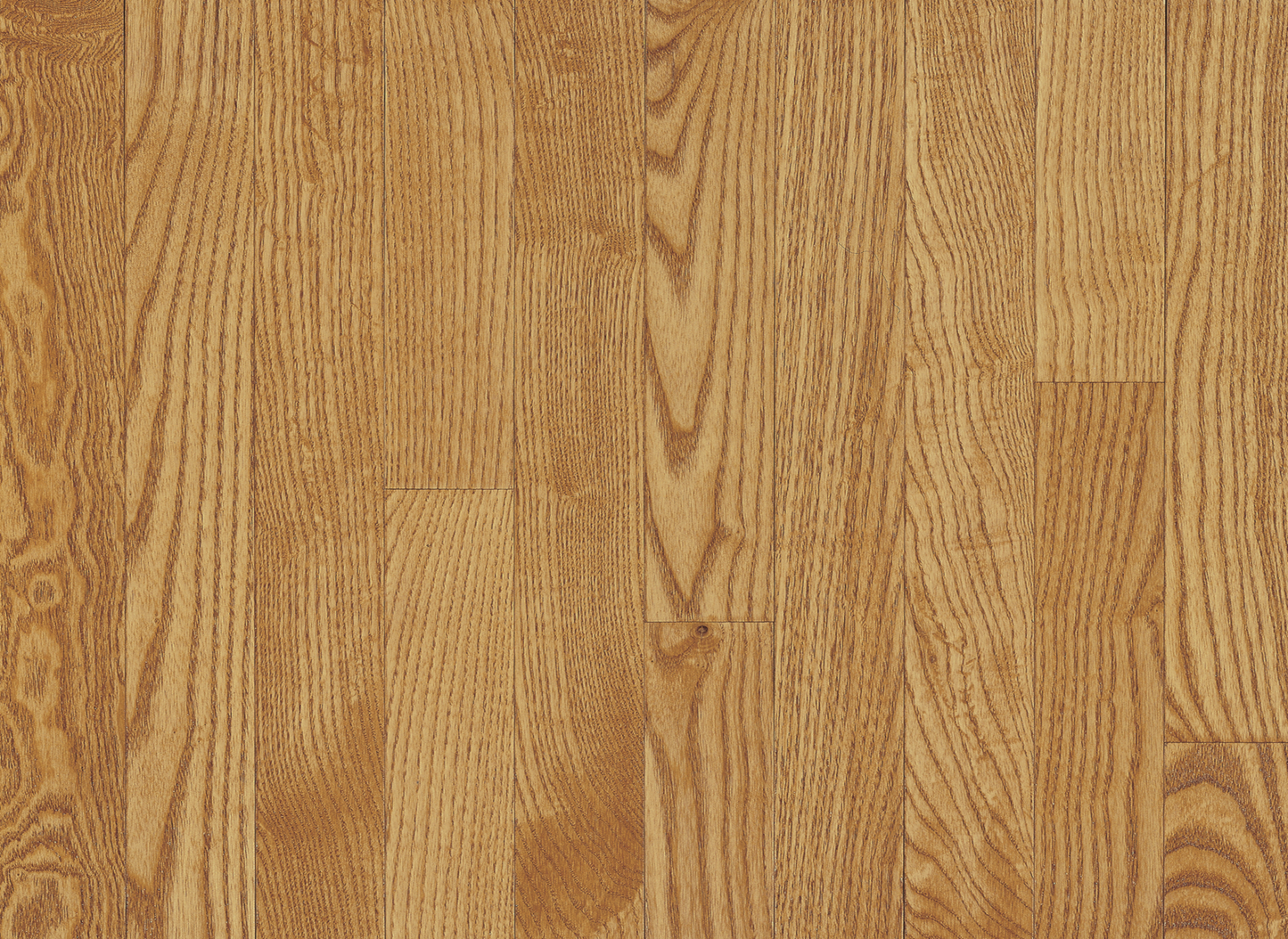 Dune Oak 3¼"