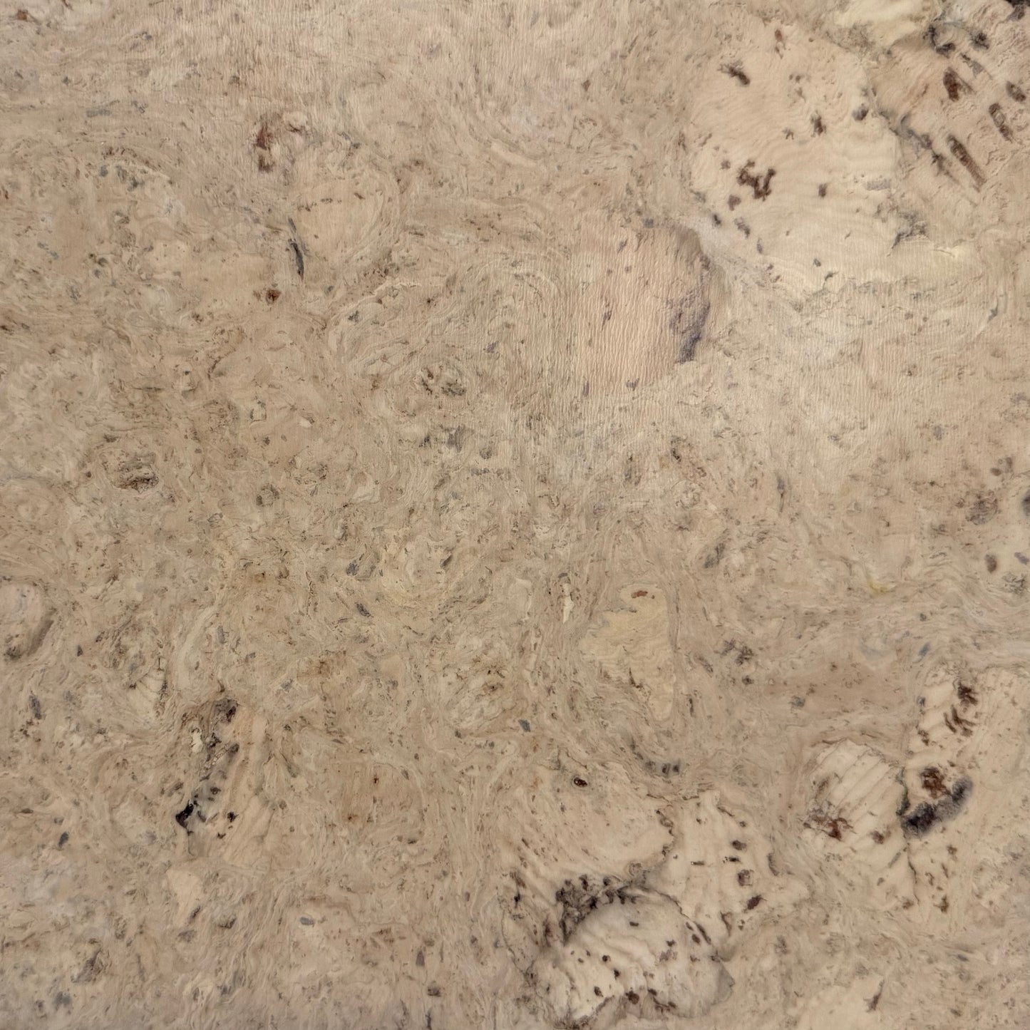 Odysseus Cork 12x36