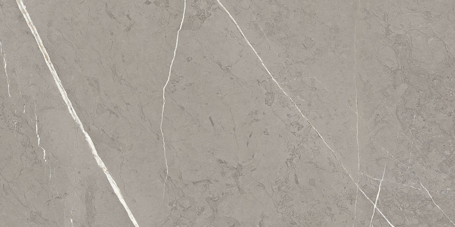 Ecstasy Rapture 24x48 Glossy Porcelain Slab