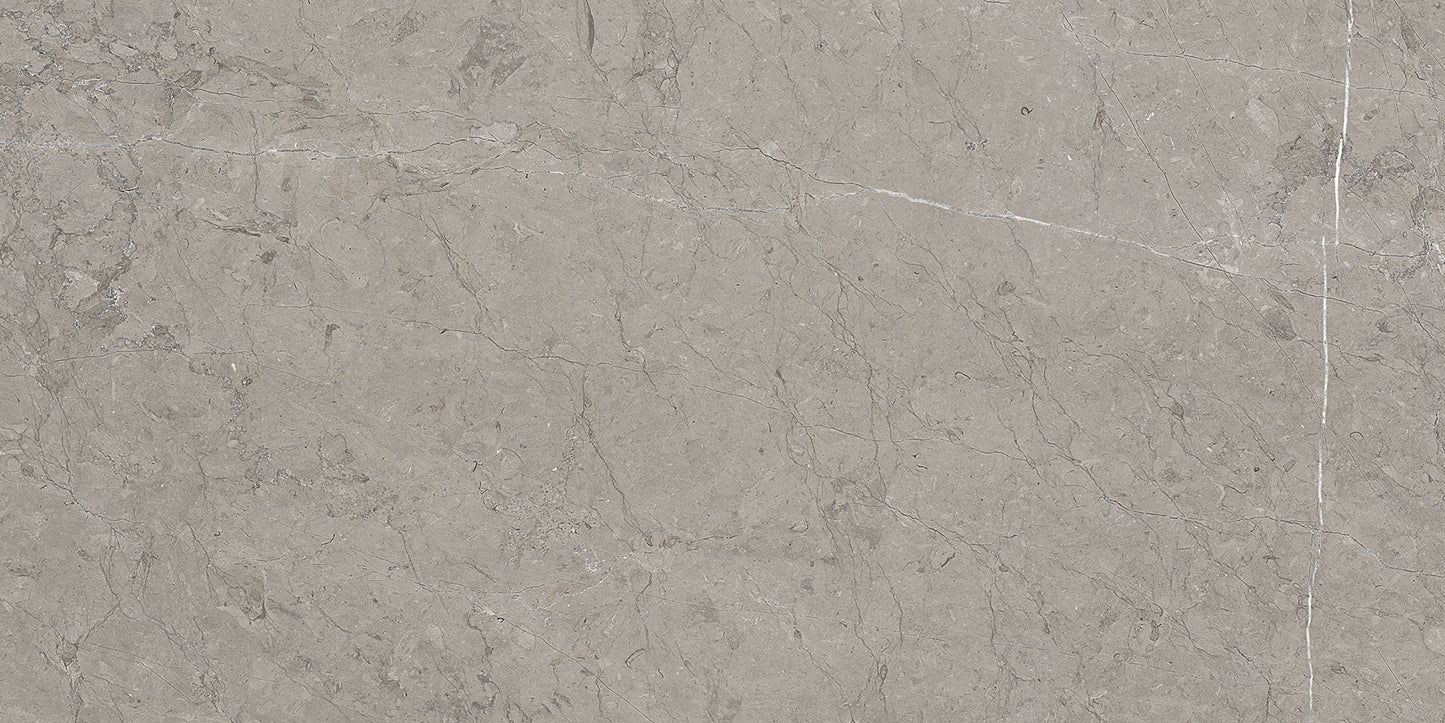 Ecstasy Rapture 30x60 Matte Porcelain Tile