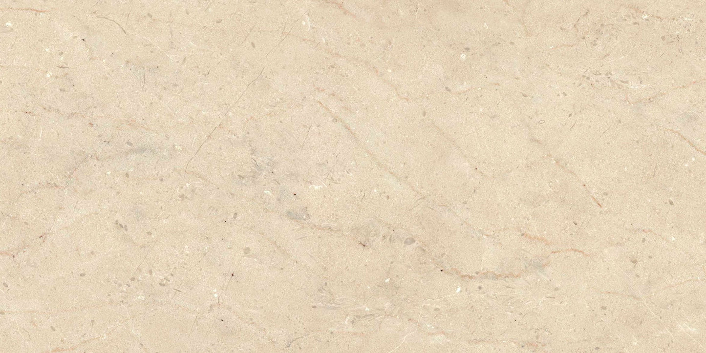 Ecstasy Paradise 12x24 Matte Porcelain Tile