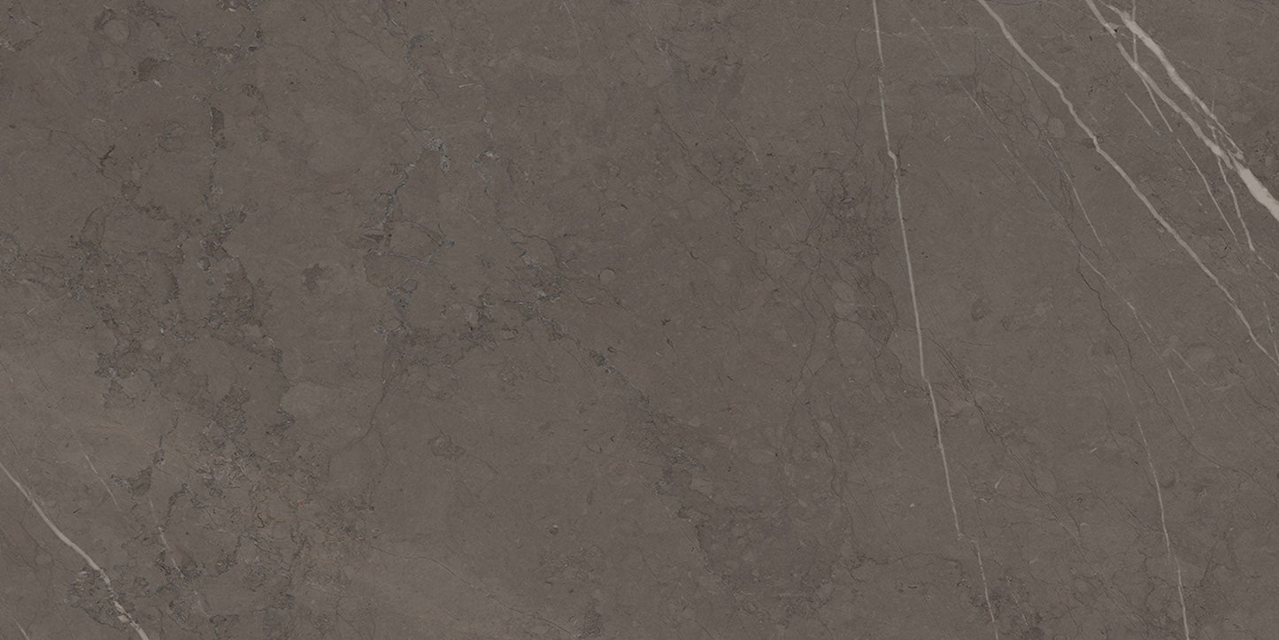 Ecstasy Delirium 12x24 Glossy Porcelain Tile