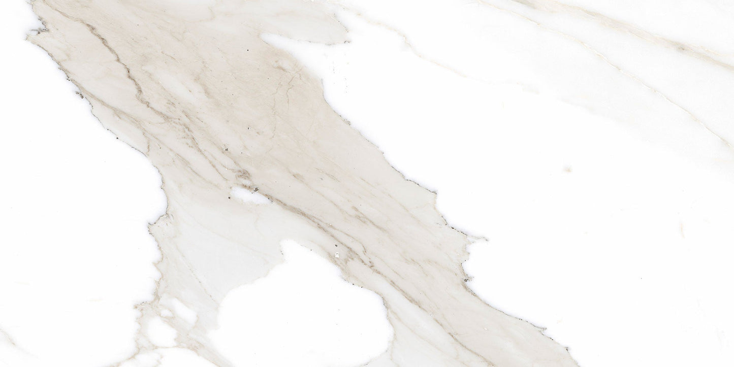 Ecstasy Pleasure 12x24 Glossy Porcelain Tile