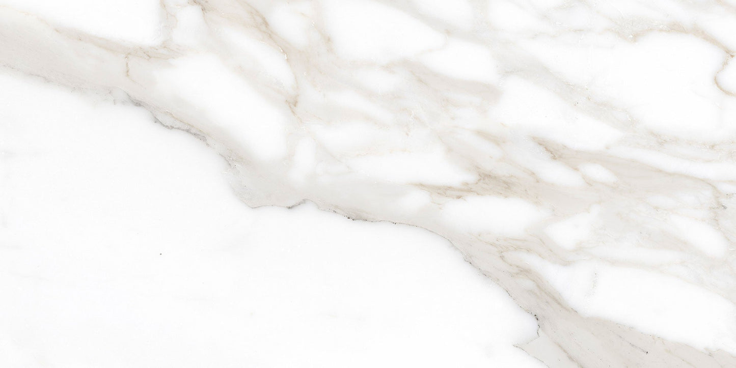 Ecstasy Pleasure 12x24 Matte Porcelain Tile