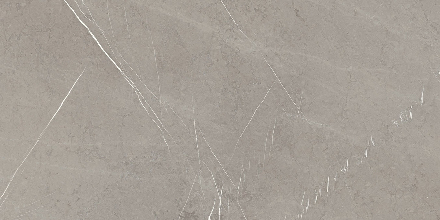 Ecstasy Rapture 12x24 Matte Porcelain Tile