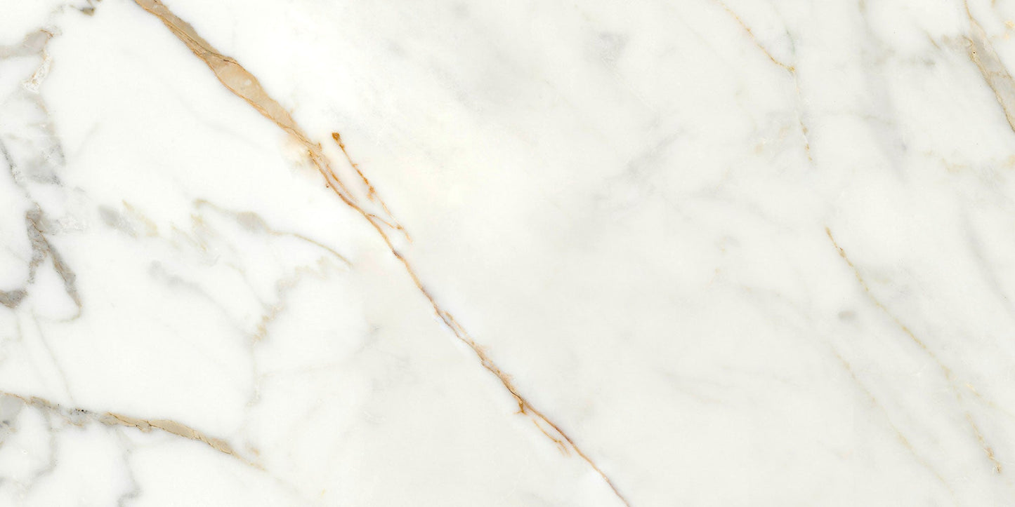 Ecstasy Thrill 24x48 Matte Porcelain Slab