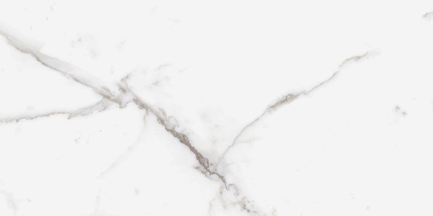 Ecstasy Zeal 12x24 Glossy Porcelain Tile