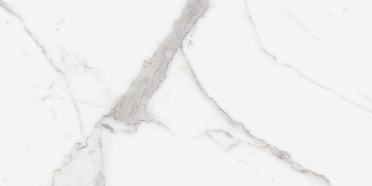Ecstasy Zeal 24x48 Glossy Porcelain Slab