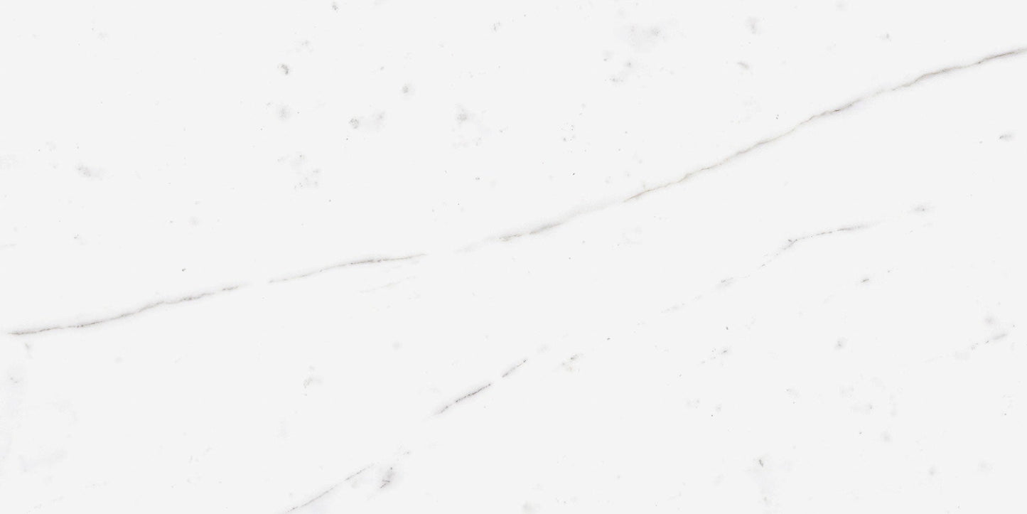 Ecstasy Zeal 30x60 Matte Porcelain Tile