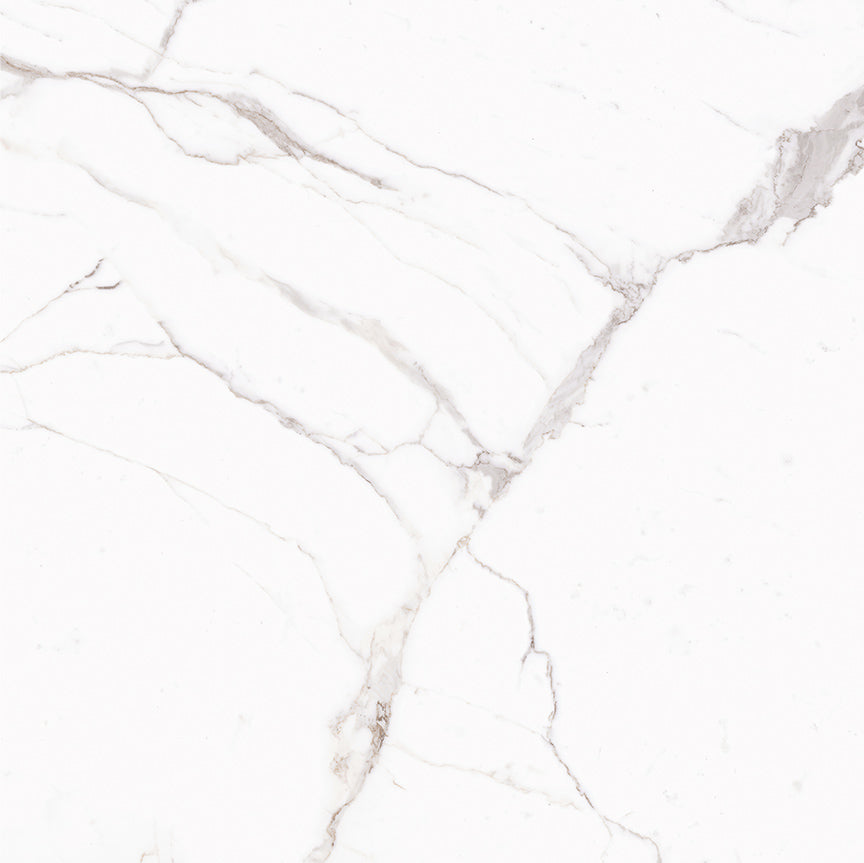 Ecstasy Zeal 48x48 Glossy Porcelain Tile