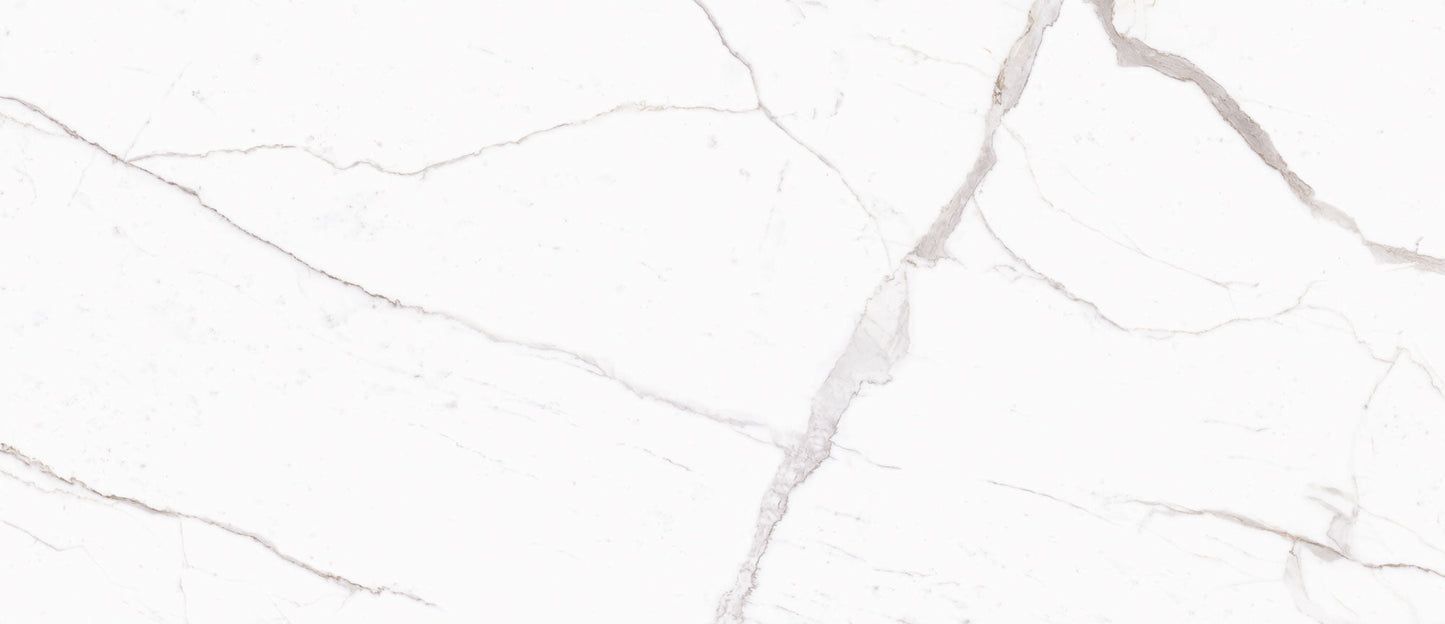 Ecstasy Zeal 48x110 Matte Porcelain Slab