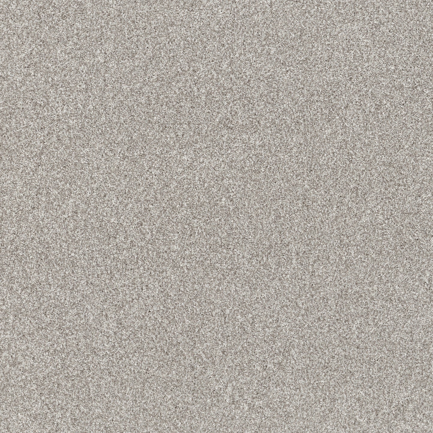 Solid light gray color swatch