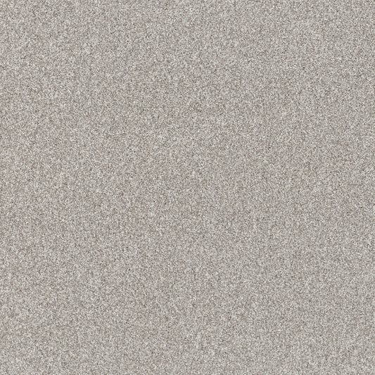 Solid light gray color swatch