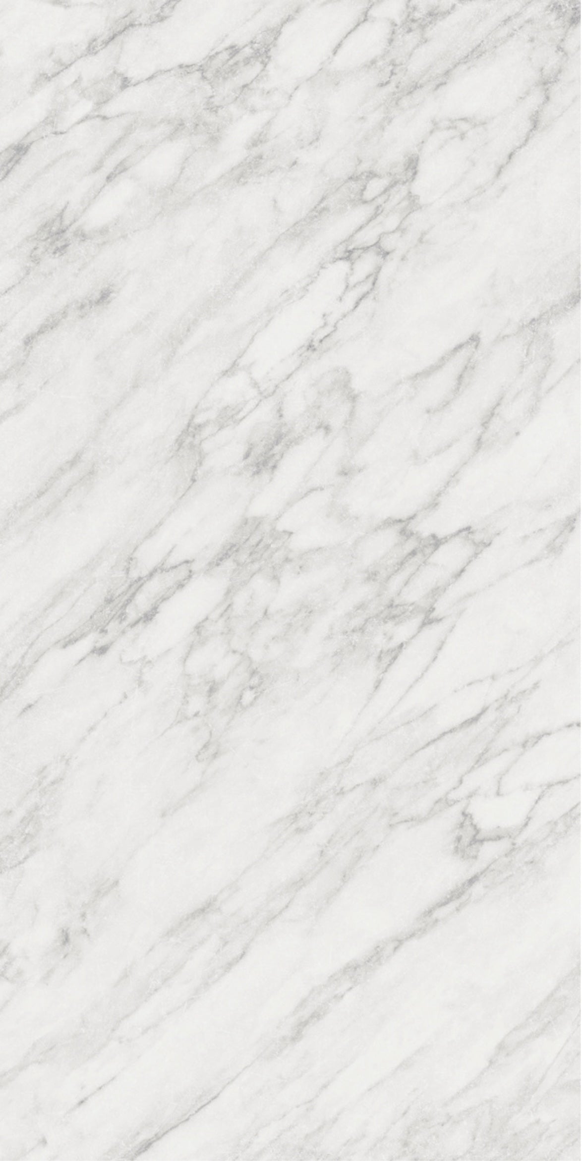 Carrara 24x48 Antique Polished
