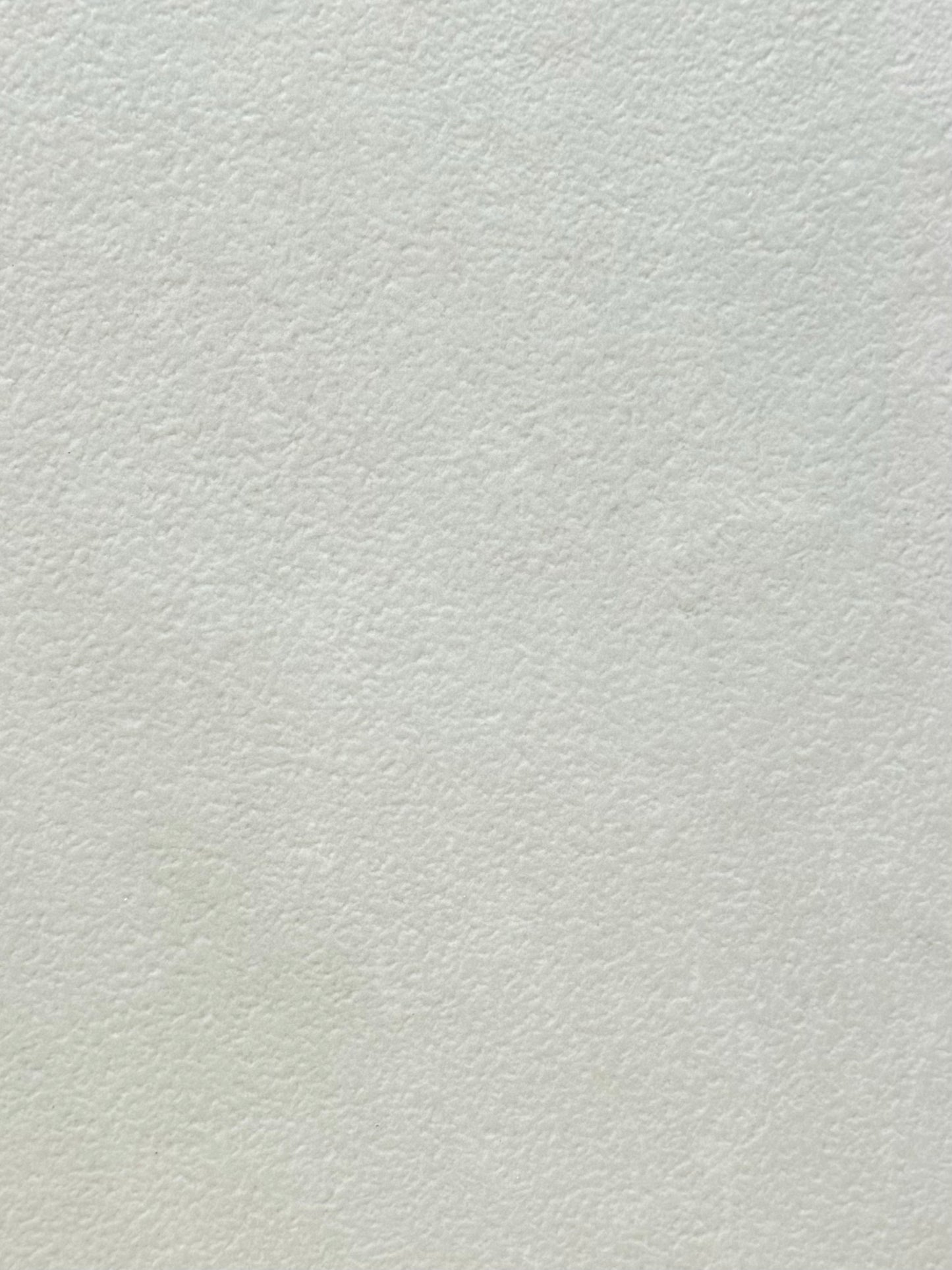 Semi Polished Ivory 24x24