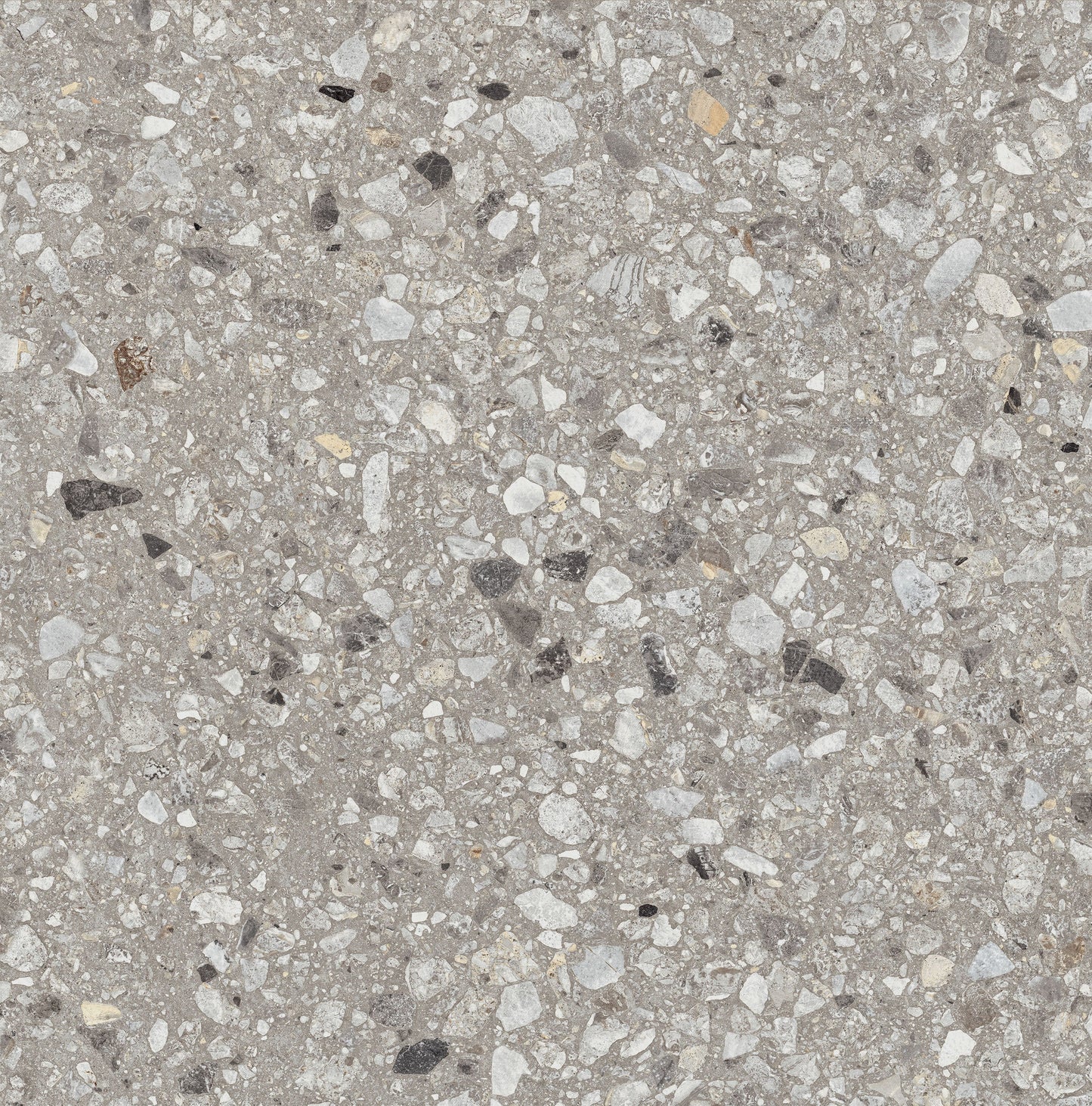 Machismo Italian 24x24 Porcelain Tile