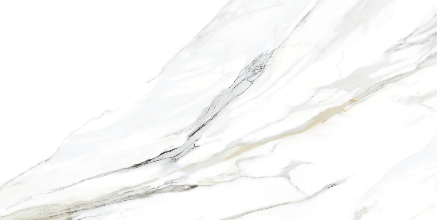 Granda II Emporio Calacatta 24x48 Porcelain Tile