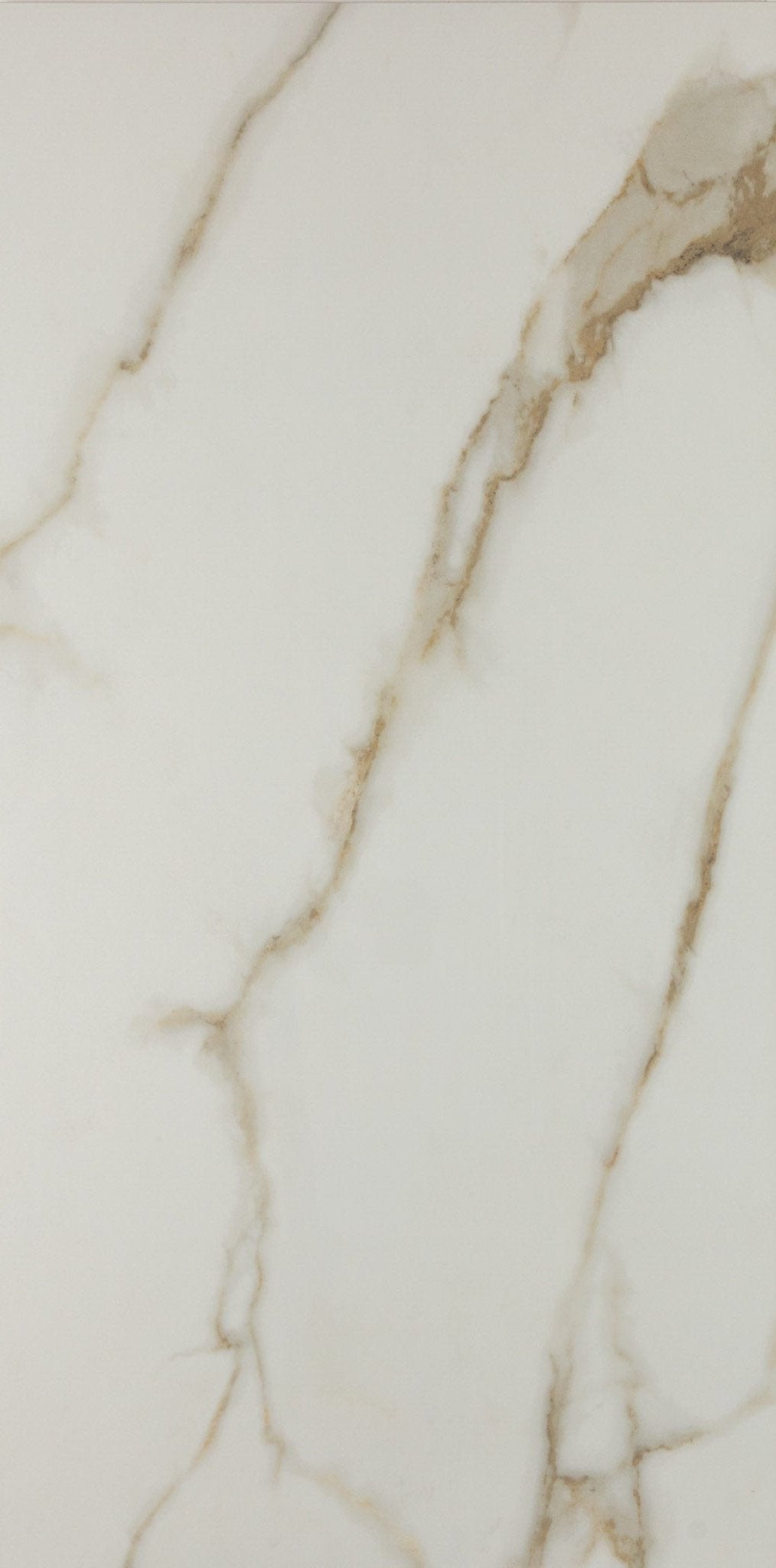 Gold 24x48 Polished